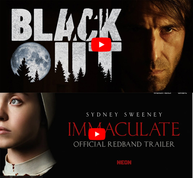 BLKOUT & IMMACTE banner SMALL